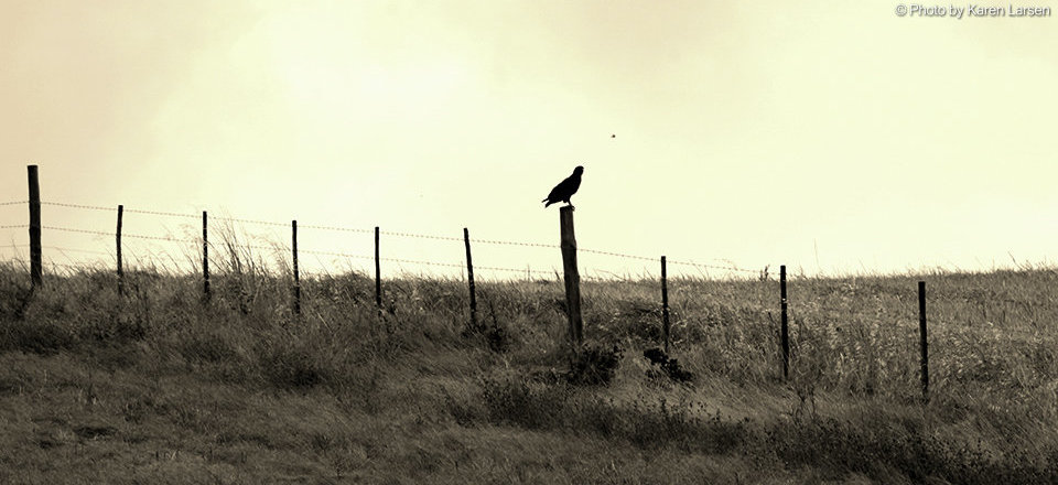 Steeped in 19th Century Charm